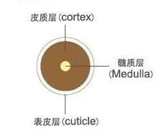 最全护发教程,修复烫染后受损发质头发护理