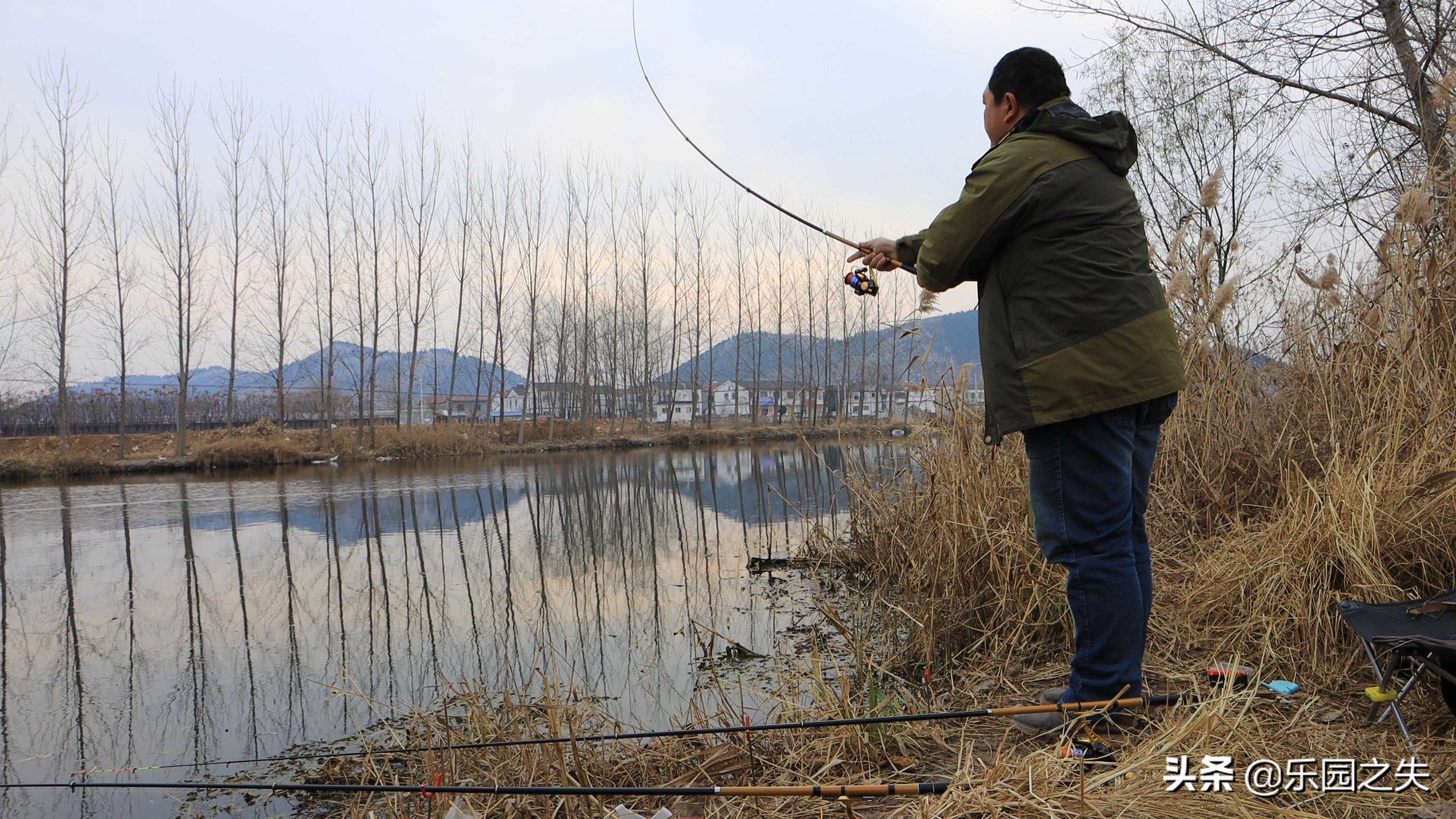 冬季钓鱼必杀饵红虫的选择与保鲜,冬季野钓红虫拉饵还需要打窝