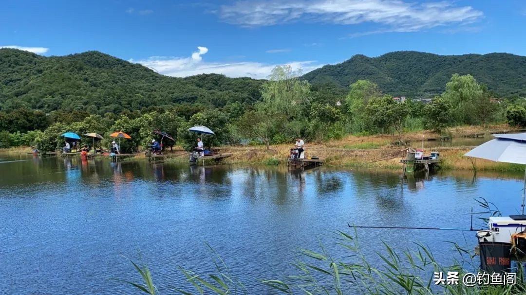 一般鱼竿多大尺寸最好用,鱼竿各尺寸鱼竿推荐