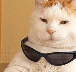 lv双肩包动物园,lv狗包