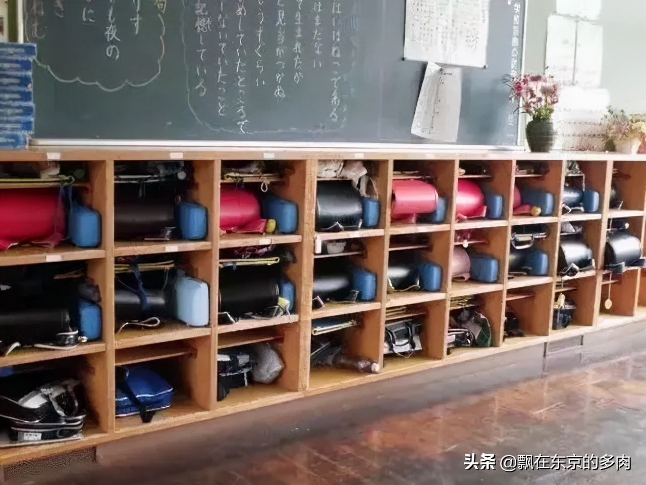 介绍一下日本小学生,中日小学初中孩子教育对比差异