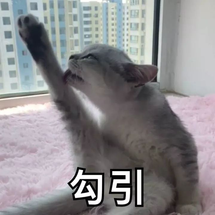 20元零食宝藏,8款超好吃的宝藏零食