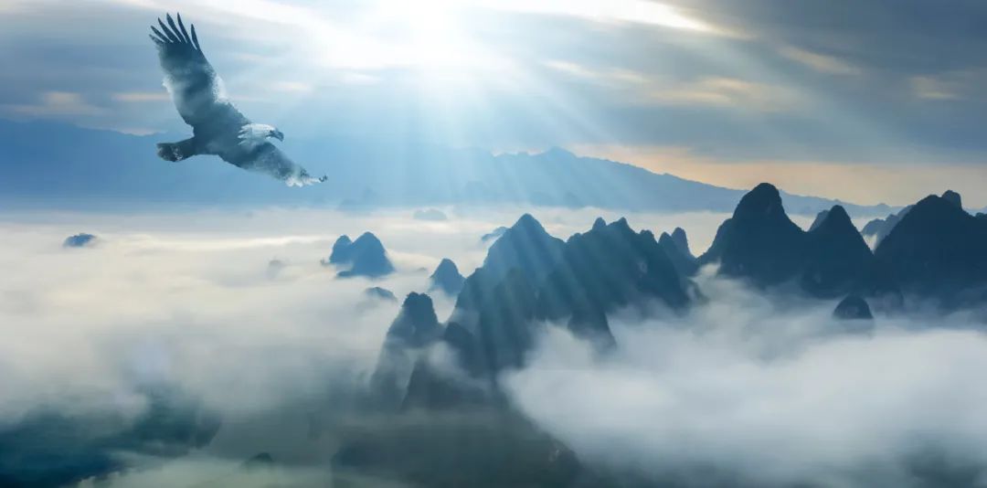 小暑至觅一处清凉守一寸静谧时光,今日小暑风动莲生香心静自然凉