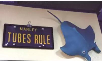 传奇的胆机，传奇的好声音ManleyStingrayII合并功放