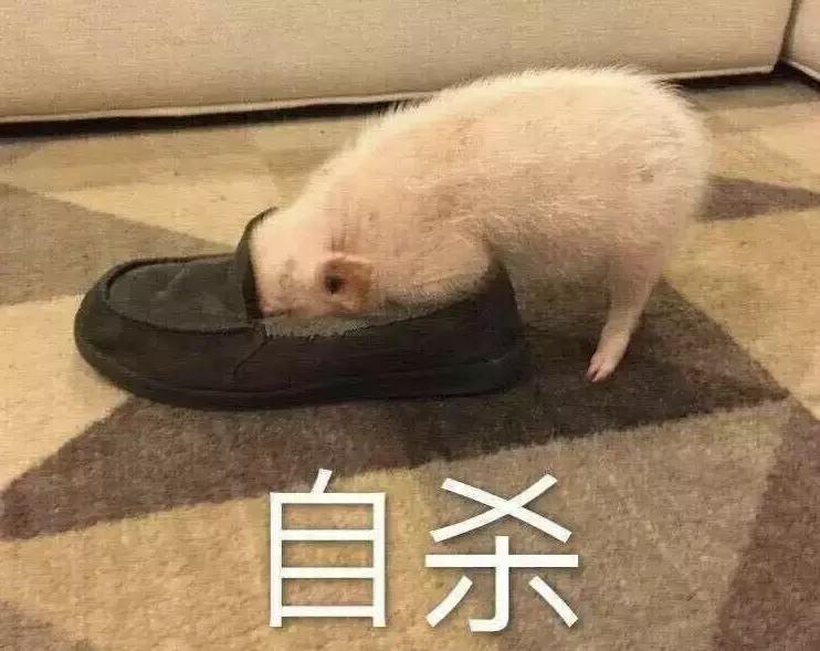 酱油清肠,避孕药洗头,这些自杀式养生为什么总有人信?