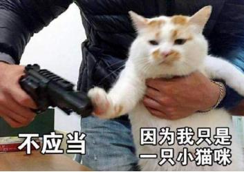 世界历史上的著名猫奴,世界三大猫奴