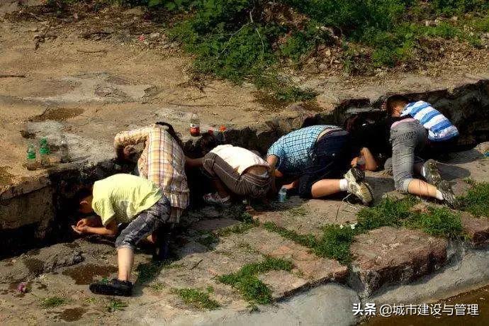 草树青翠虫鸣起，一枕清凉入梦来