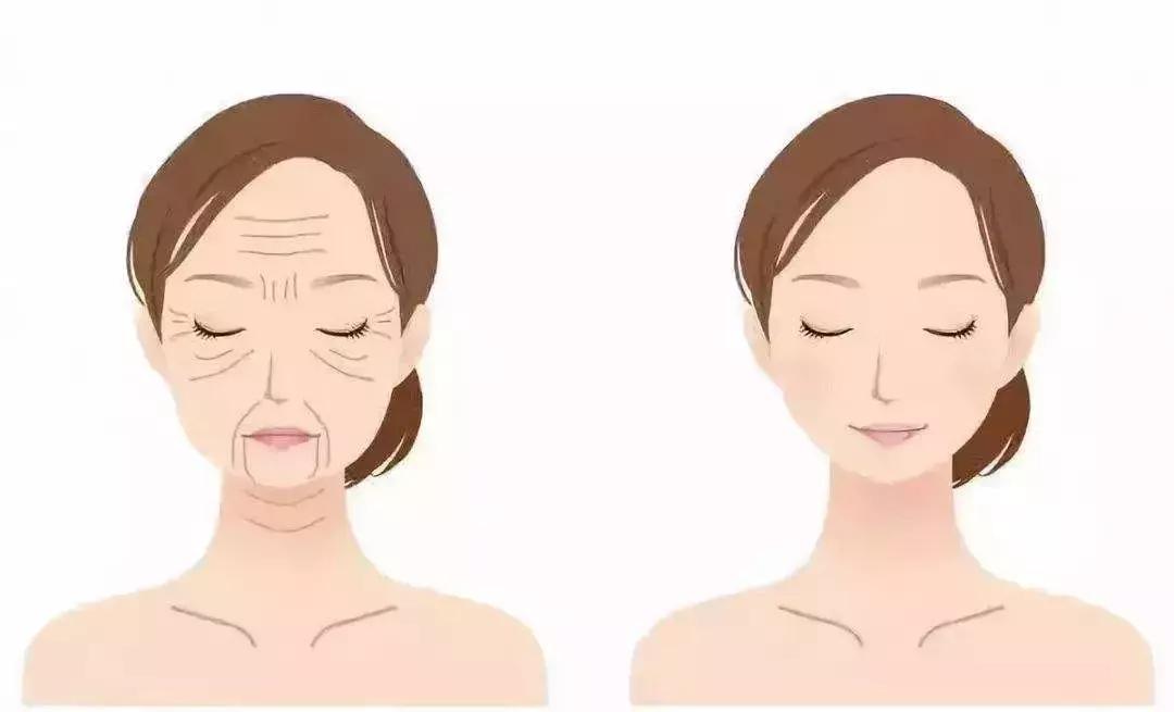 周迅陈数董洁哪个更年轻,董洁年轻和老了照片对比