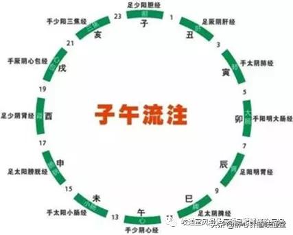 子午流注针法解释大全视频,孙国杰子午流注针法临床应用