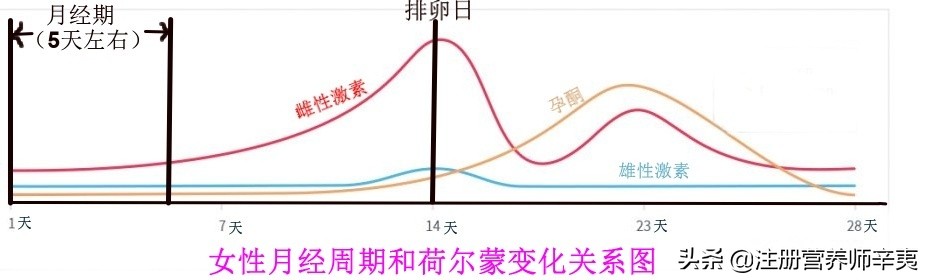 痘痘内分泌失调么,亚麻籽油治疗痘痘
