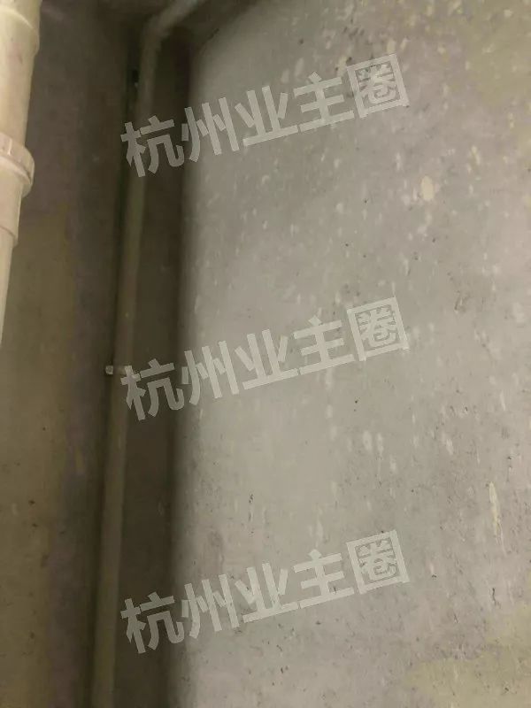 绿都什么意思,绿都包括哪些绿