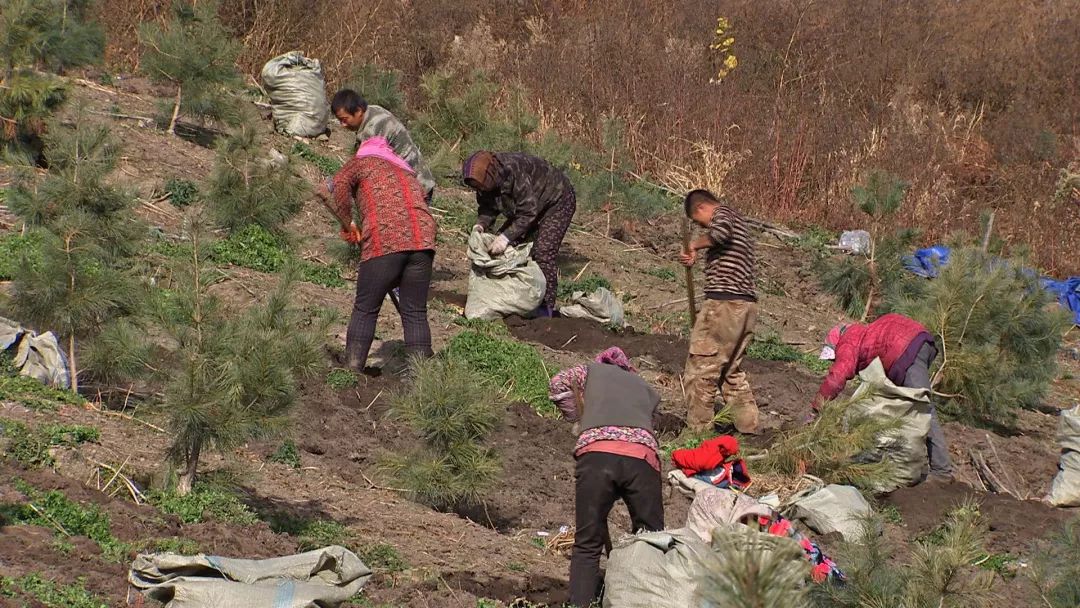 他用9年颠覆一个行业模式，获得千万财富的背后竟是因为花样折腾