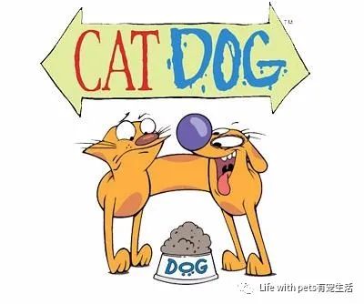 为什么猫狗不可以吃盐,猫狗不吃盐有坏处吗