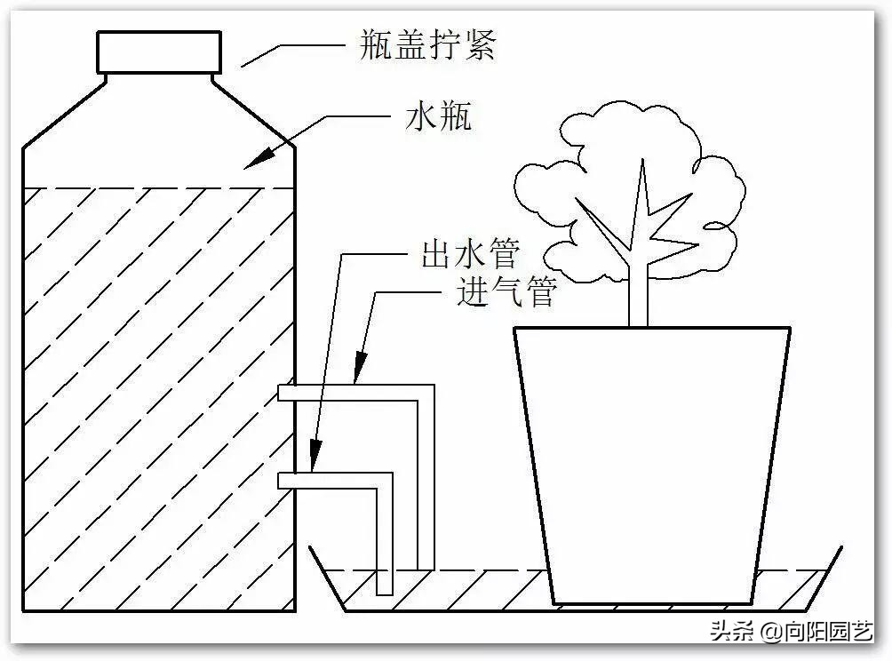 制作简易定时浇水装置,出门一个月的懒人浇水神器制作