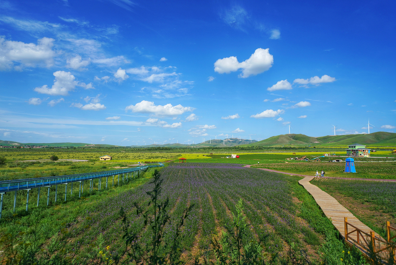 如何对付炎热的高温,炎炎夏日应对冬天