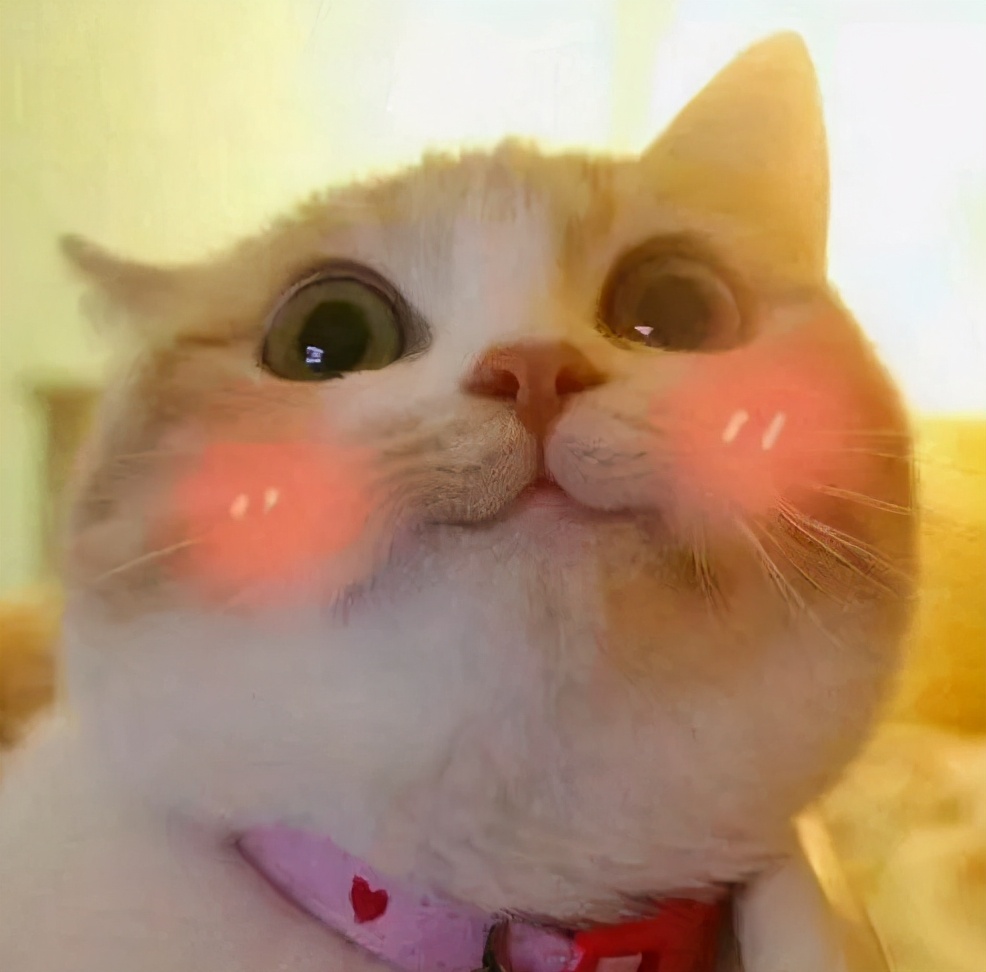 男士不腻好闻的香水大牌,公认最好闻的十大男士香水荷尔蒙