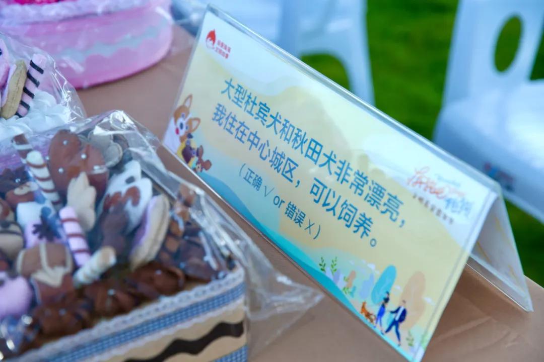 还记得那只C位出道的珠海狗狗么？