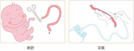 全球干细胞药都哪些,2020全球有上市的干细胞药物吗