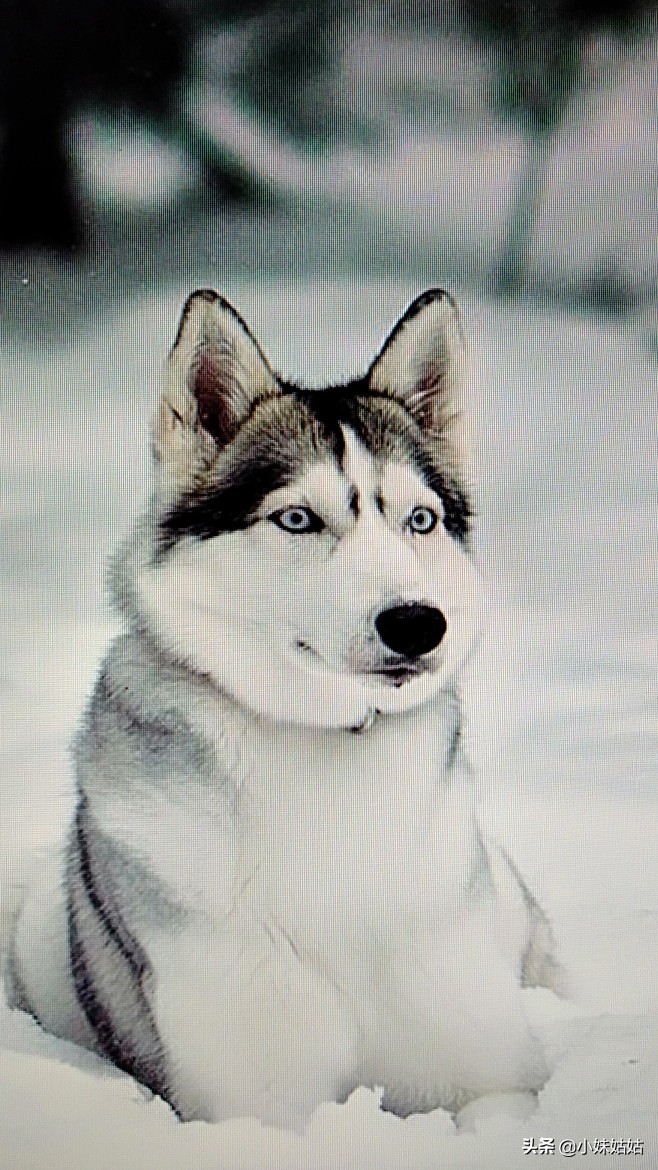 别动不动就让我买赚钱方法资料加入社群了