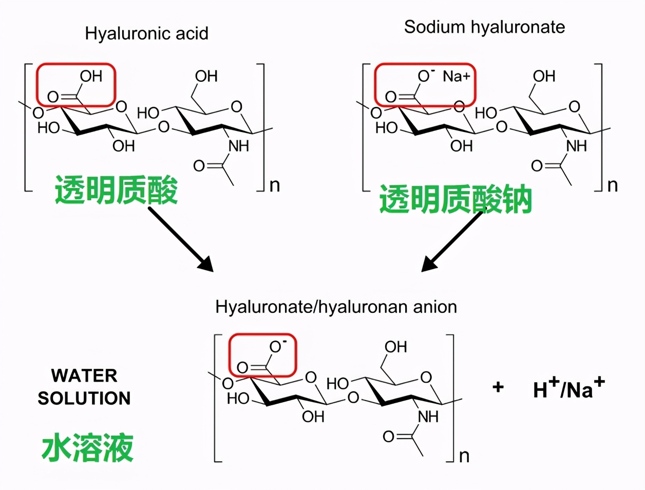 药学博士保湿化妆品,药学博士护肤品推荐