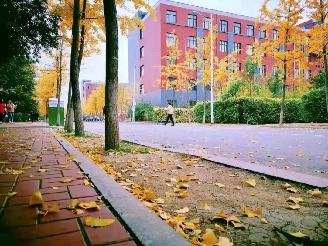 辽宁中医药大学杏林学院规模,辽宁中医学院杏林学院的排名