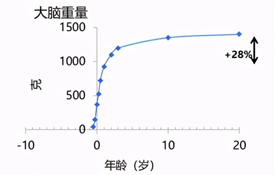 营养师科普儿童补充dha,dha营养师科普