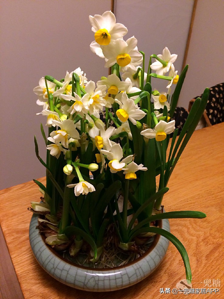 小户型橱柜鞋柜一体图片,小户型浴室门收纳