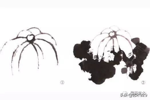 荷花的画法和步骤图解,最简单的荷花画法一学就会