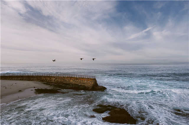 闲鱼项目如何操作,最新闲鱼攻略