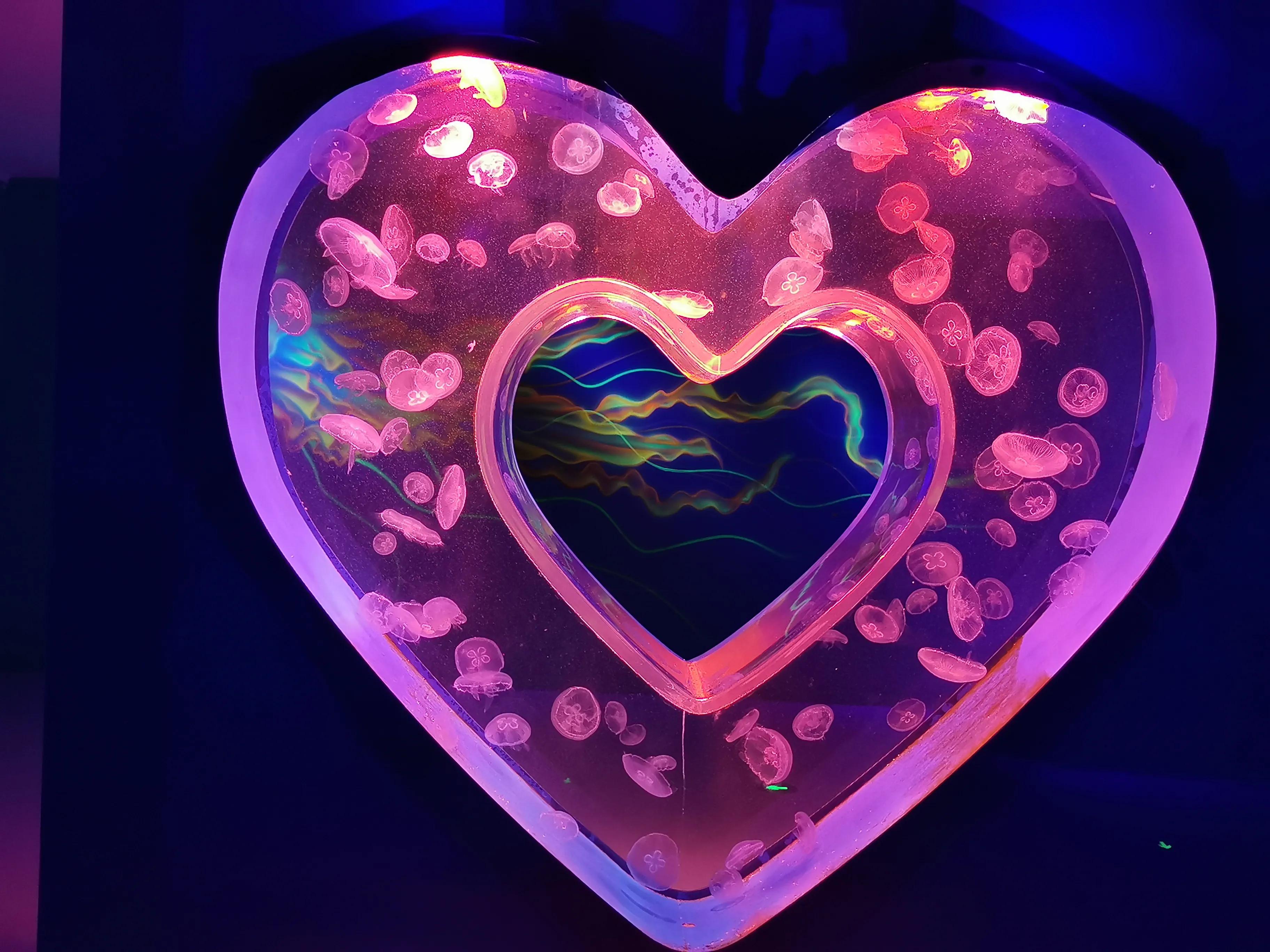 璧拌繘娴锋磱鍔ㄧ墿娴峰簳涓栫晫,鍙傝娴峰簳涓栫晫娴锋磱鍔ㄧ墿瑙嗛