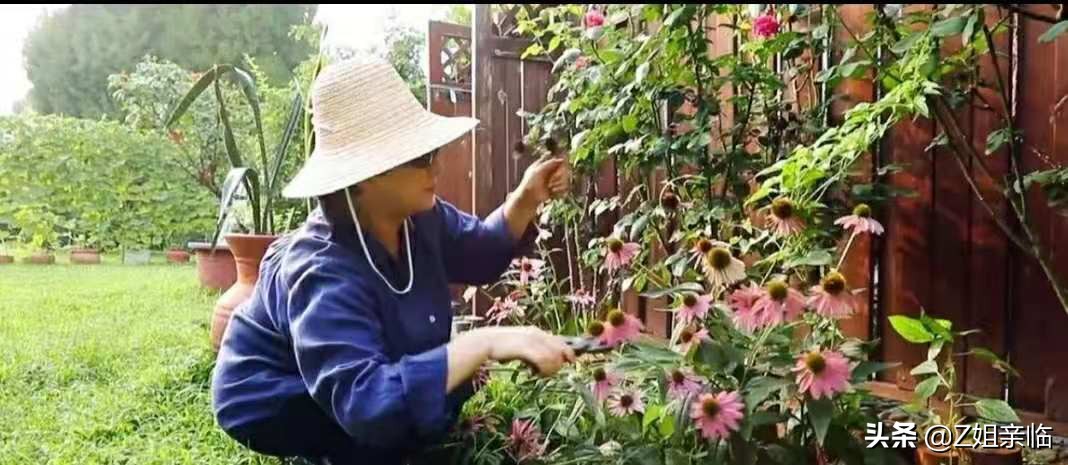 李云迪嫖娼被举报,明星再小心,还是躲不过神秘的朝阳群众