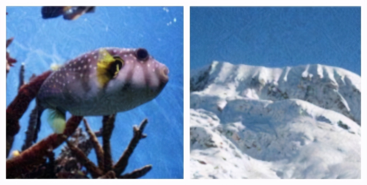 鐚庢潃ai娓告垙瑙嗛,鐚庢潃ai鑷瀯csgo