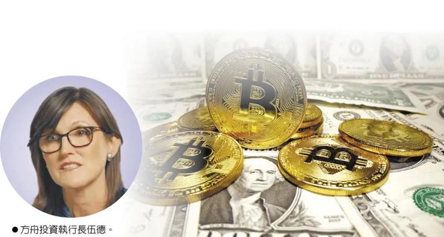 *币特比**是美图的救心丸？有人预测未来10年会飙涨至100万美元