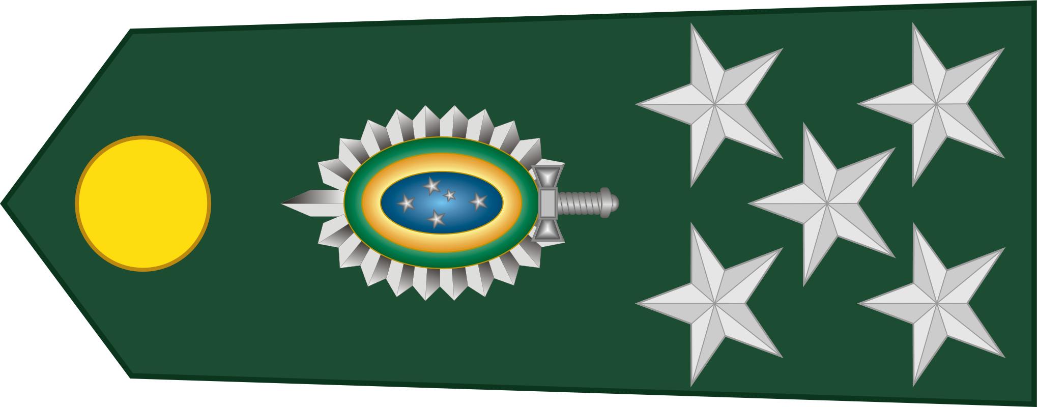 巴西军衔图片,各国军衔标识俄罗斯