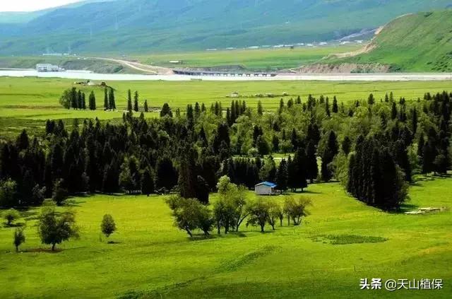 大美新疆百里画廊,北疆千里画廊打卡点