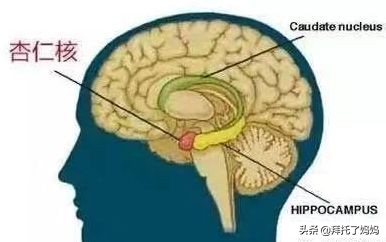 孩子撒泼哭闹怎么管教,孩子经常撒泼崩溃大哭怎么办