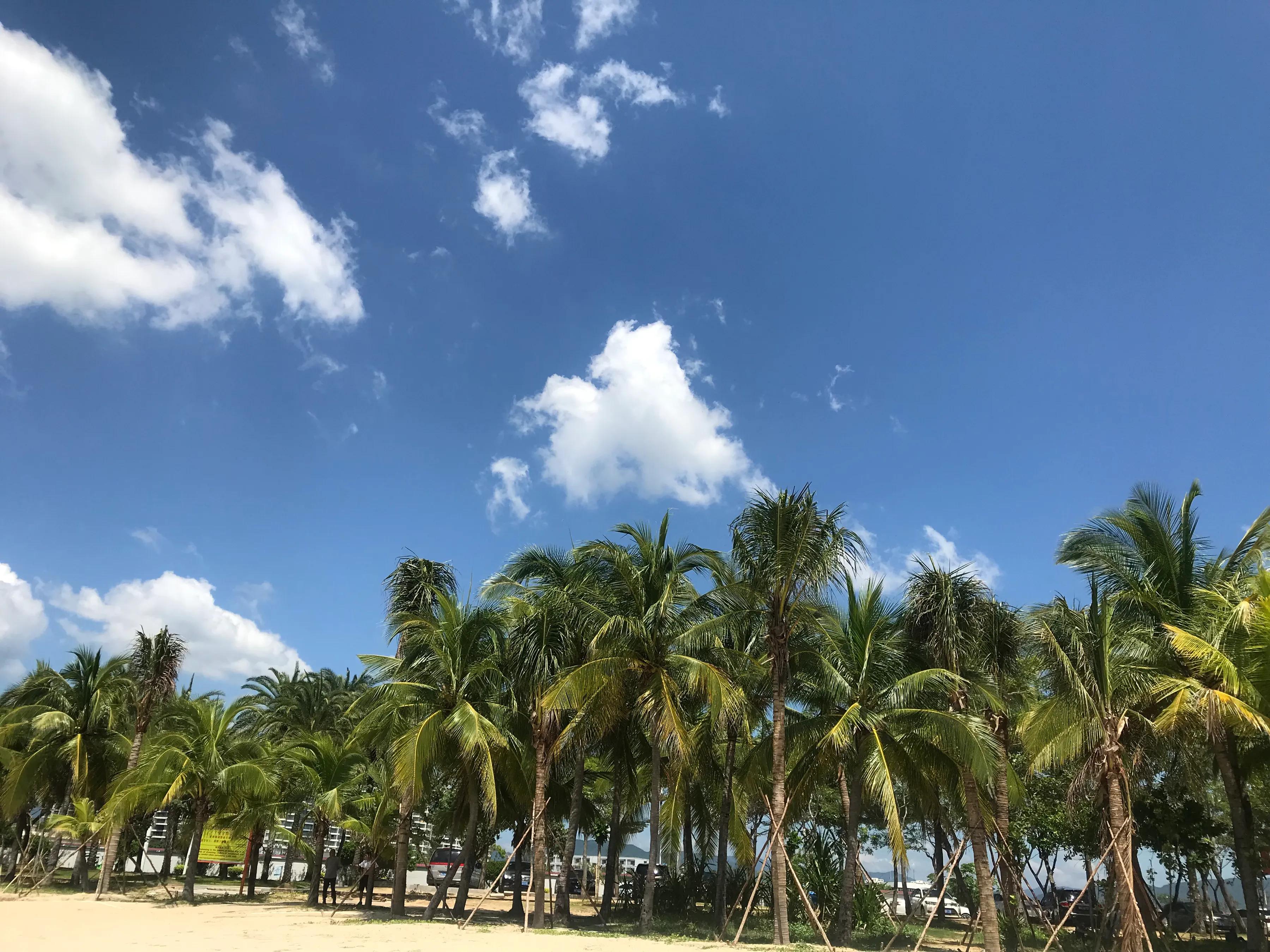 厦门出发海南七日游攻略,厦门自驾游去海南旅游攻略