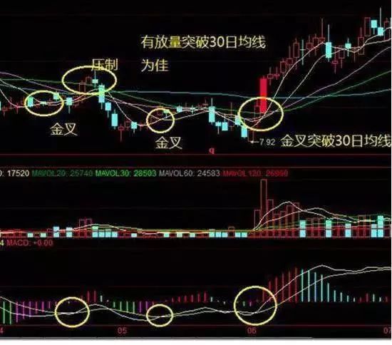从一无所有到财富自由,从一无所有至财务自由