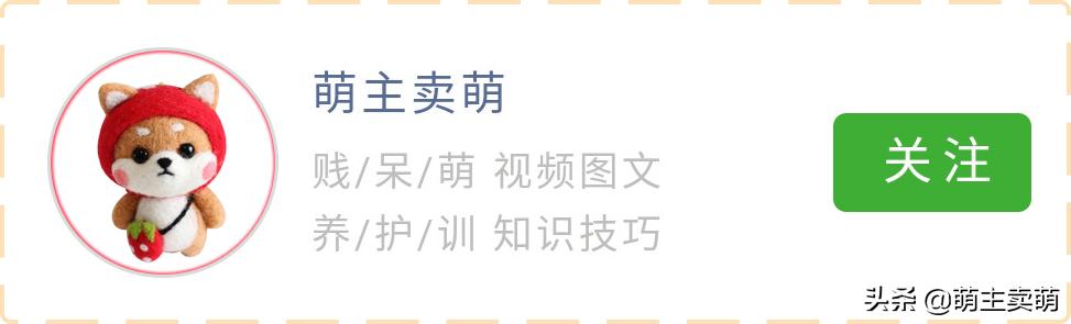 为什么狗狗拉灰色的屎,为什么狗狗拉粑粑有白色黏膜