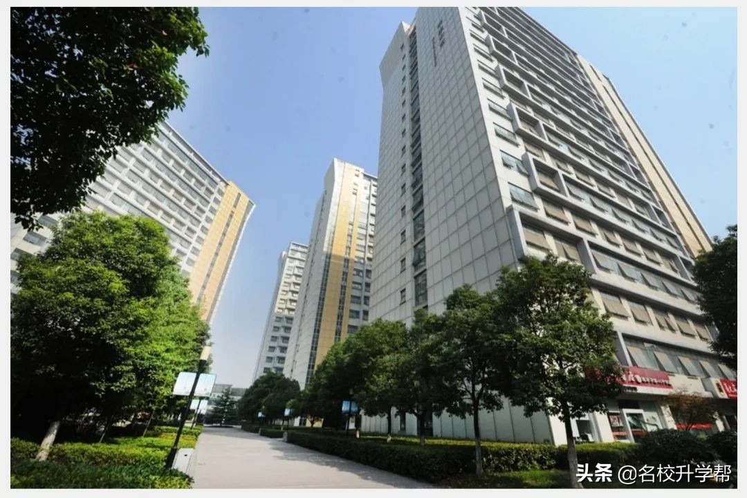 合肥一中为什么比六中八中厉害,合肥一中六中八中有几个校区