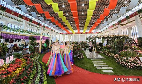 江苏宿迁沭阳县花木大世界,宿迁沭阳的花木之乡