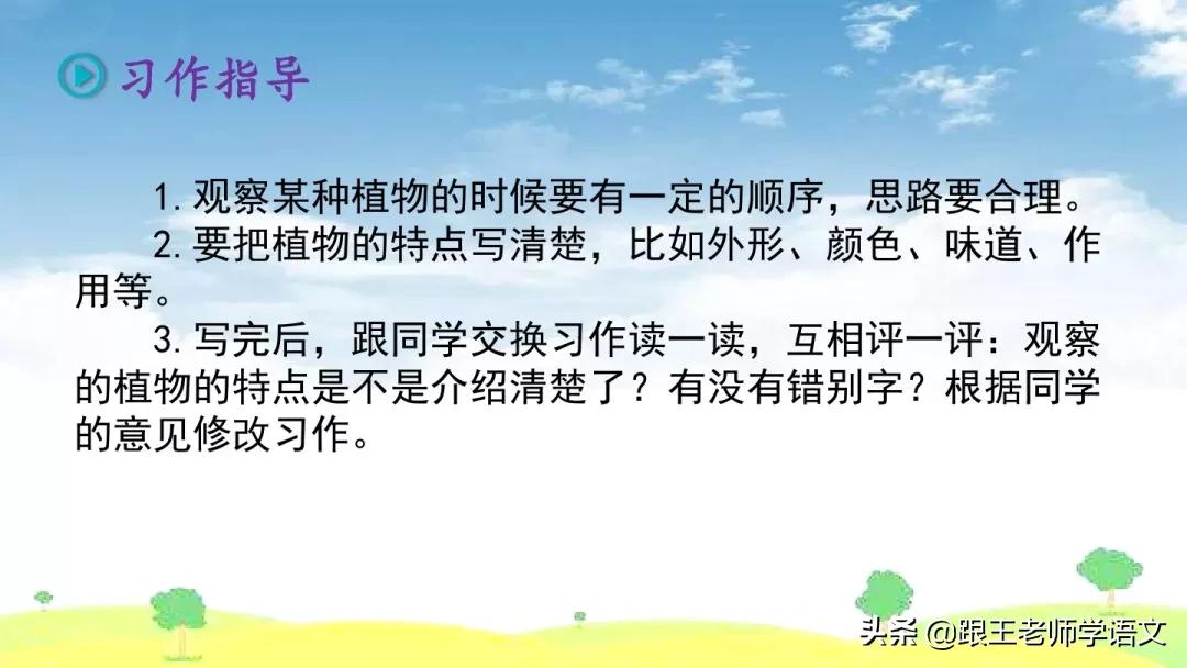 我的植物朋友竹子作文三年级300字,三年级下册我的植物朋友习作评语
