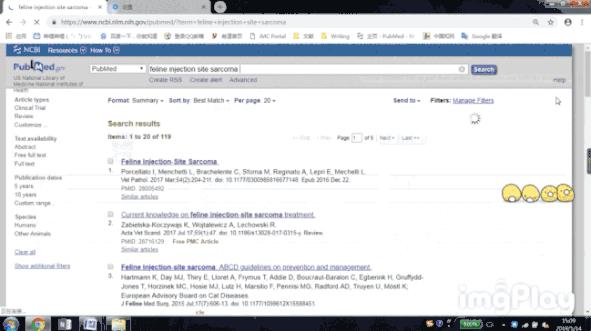 给猫打针避免打到神经,给猫打针要不要消毒
