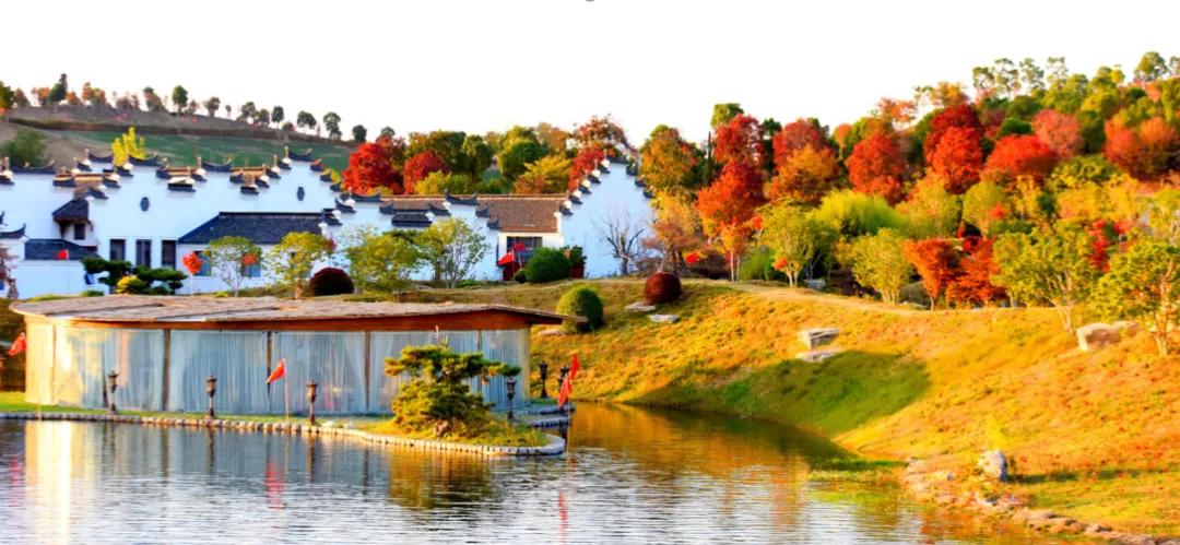 引爆文旅市场,蚌埠城南新建不夜城