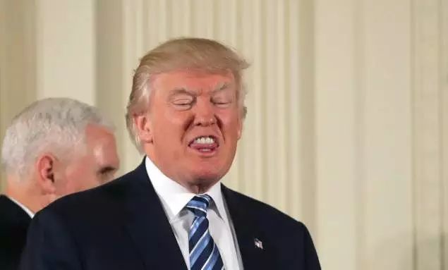 特朗普巅峰特点,特朗普的过人之处在哪里