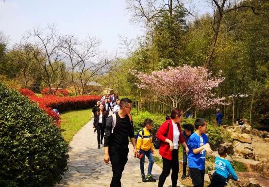 不负假期不负青春,不负韶光享受春日