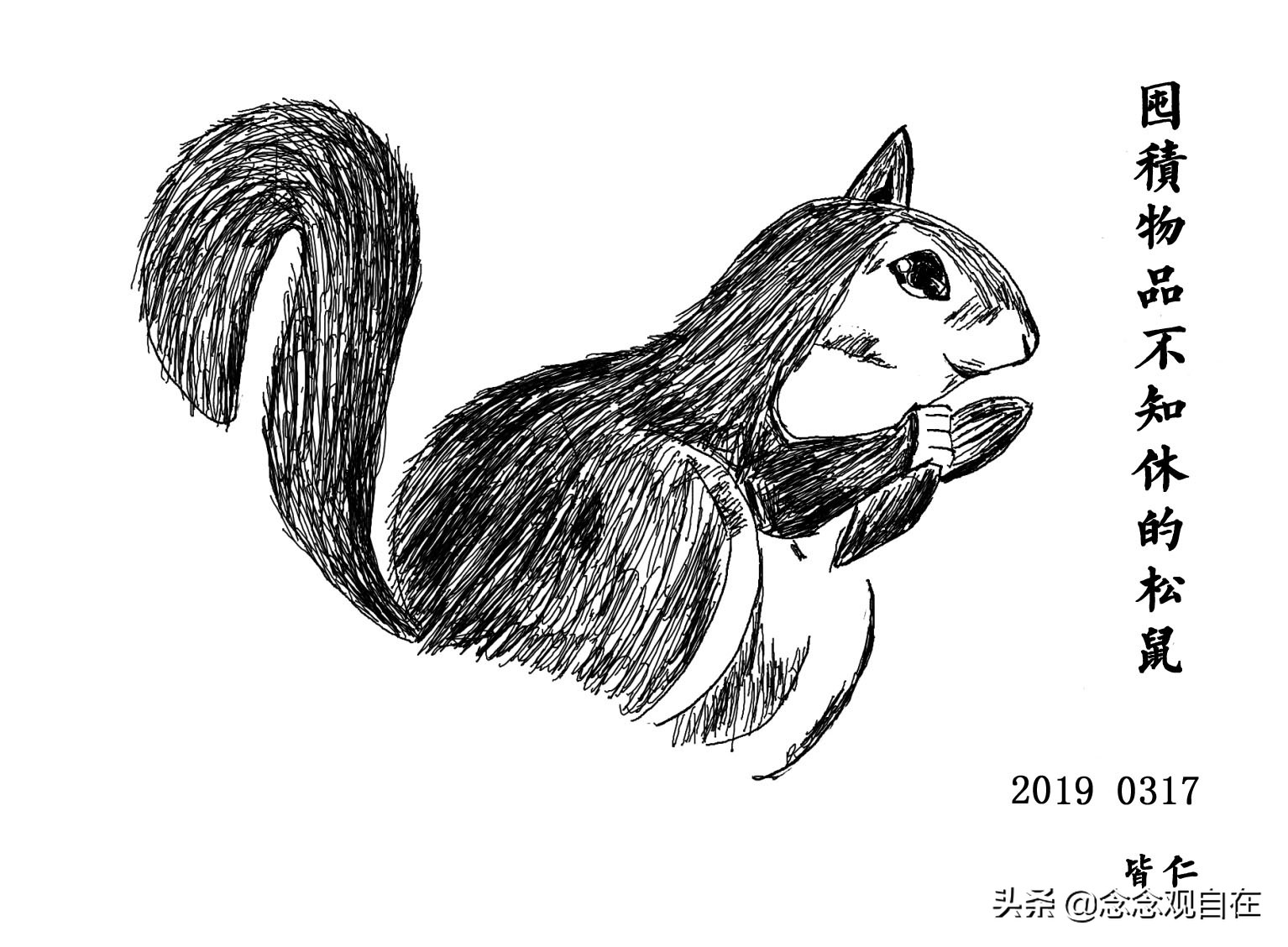 手绘松鼠的画法,手绘一群松鼠