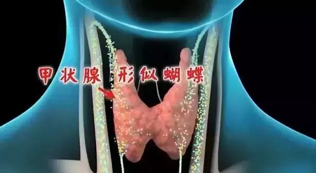 关注甲状腺疾病的专家,广东省甲状腺疾病著名专家