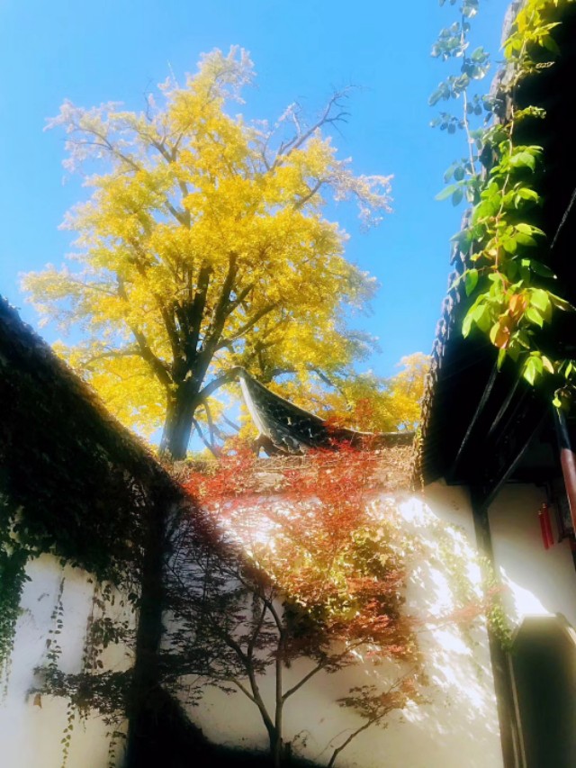 绉嬪ぉ鍦ㄦ枃浜哄ⅷ瀹㈢殑绗斾笅,绉嬪ぉ鍦ㄨ瘲浜虹殑璇楅噷