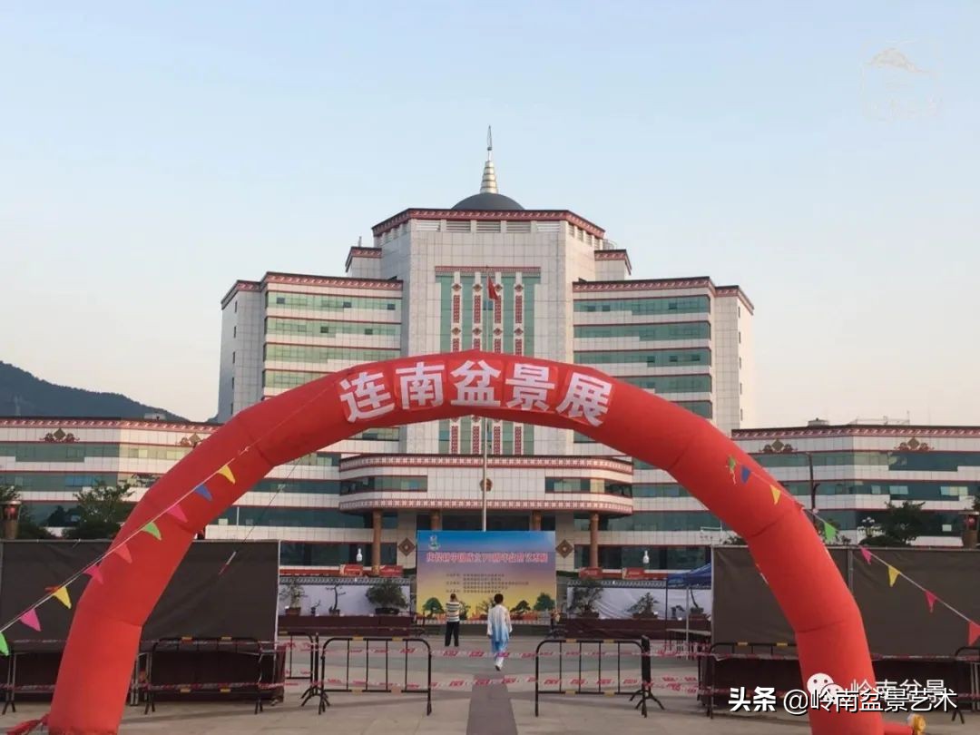 广东的盆景有哪些,适合广东玩的盆景